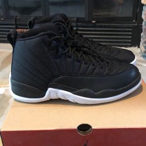 Brand new Air Jordan 12 Retro